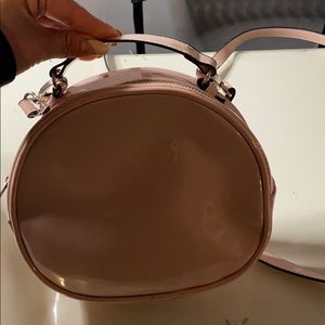 Pink glossy wild fable purse